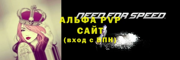 молекула духа Баксан