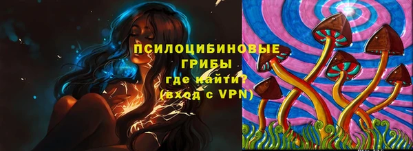 эйфоретик Балахна