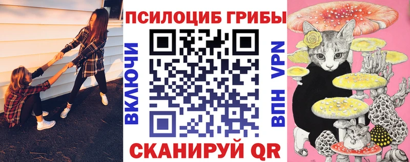 Галлюциногенные грибы Magic Shrooms  Пыталово 